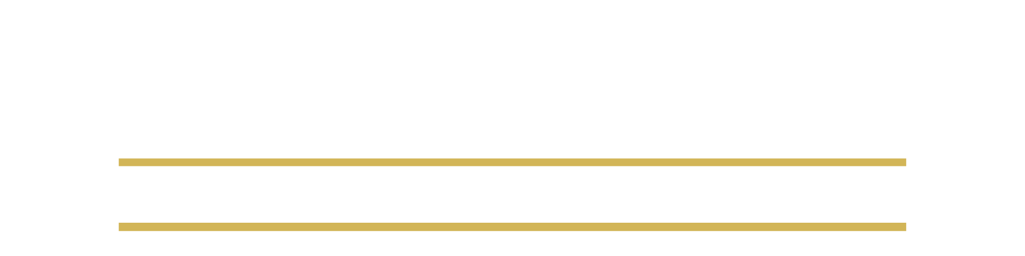 About | Premiere Commercial Real State